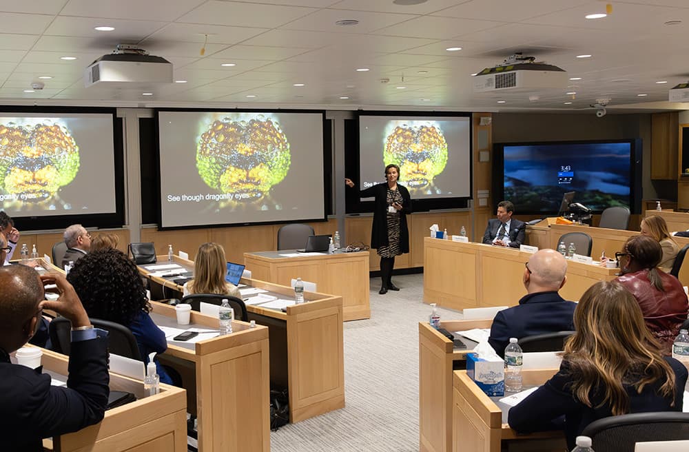 Anthea Roberts speaks at Harvard Law School's workshop on Dragonfly Thinking