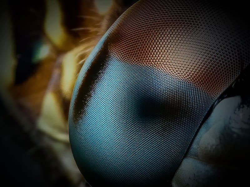 ANU's problem-solving spinout wins AI Sprint